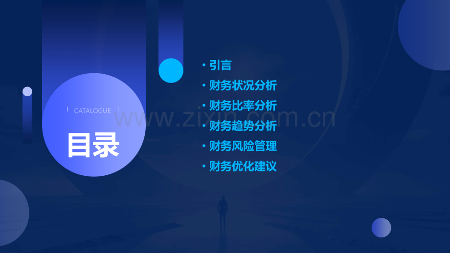 财务专题分析报告.pptx_第2页
