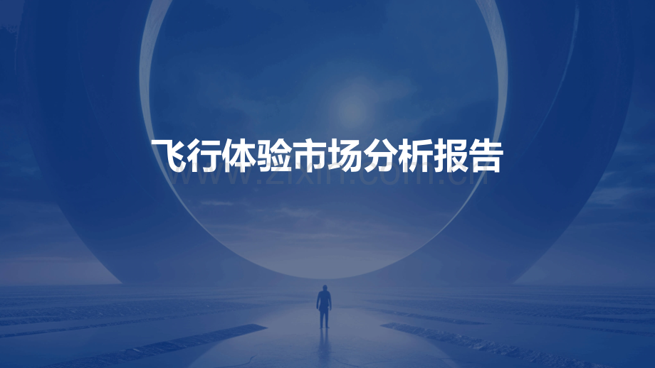 飞行体验市场分析报告.pptx_第1页