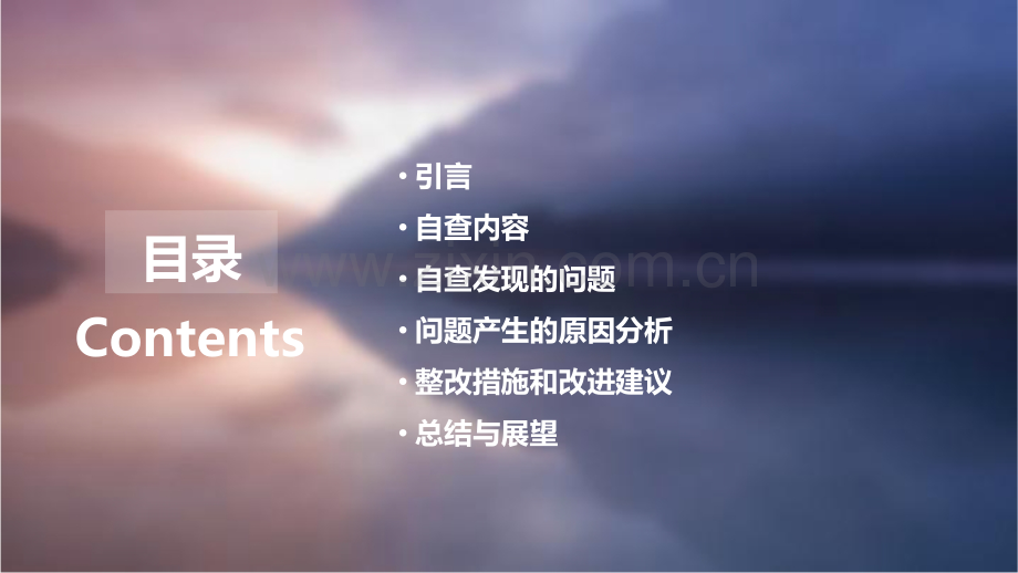 廉政个人自查报告.pptx_第2页