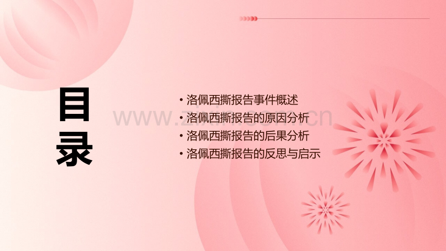 洛佩西撕报告.pptx_第2页