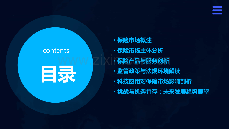 保险市场运行分析报告.pptx_第2页