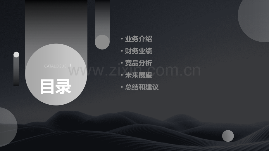 安踏横向纵向财务分析报告.pptx_第2页