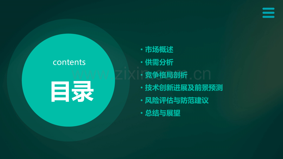 一氧化碳市场分析报告.pptx_第2页