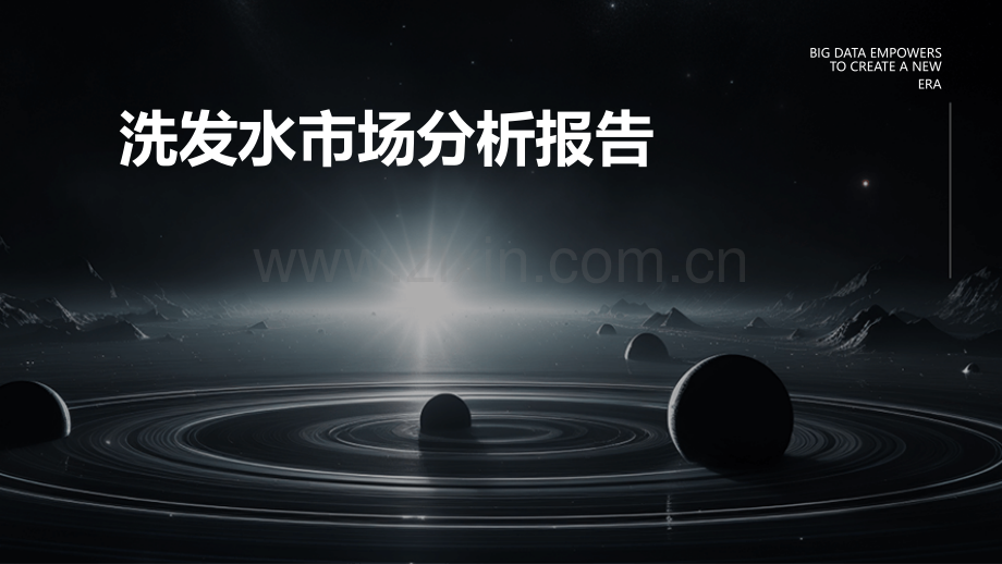 洗发水市场分析报告.pptx_第1页