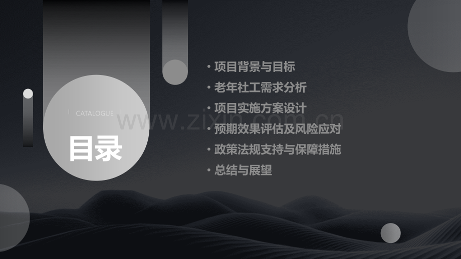 老年社工项目需求分析报告.pptx_第2页