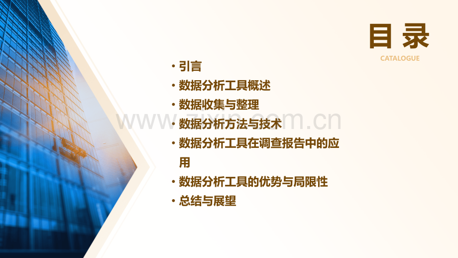 调查报告数据分析工具.pptx_第2页