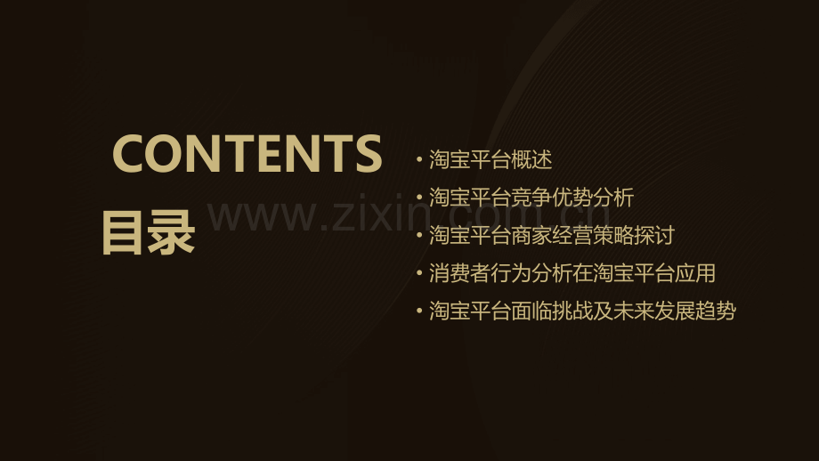 淘宝的分析报告.pptx_第2页