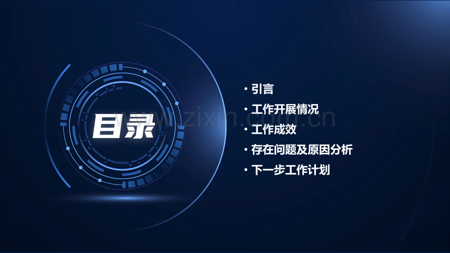 生育秩序整治工作总结.pptx_第2页