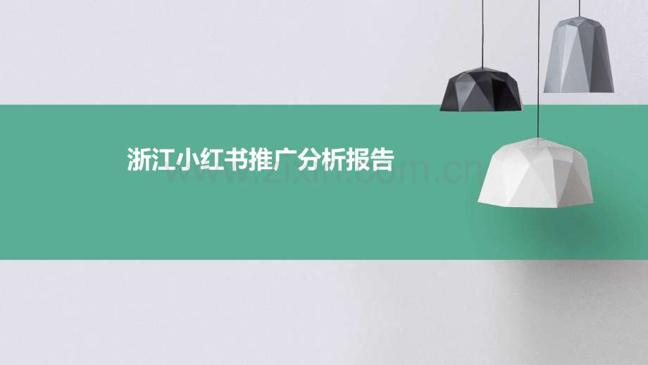 浙江小红书推广分析报告.pptx_第1页