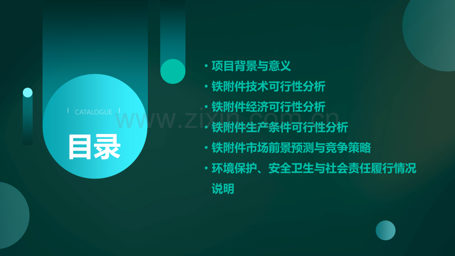 铁可行性报告.pptx_第2页