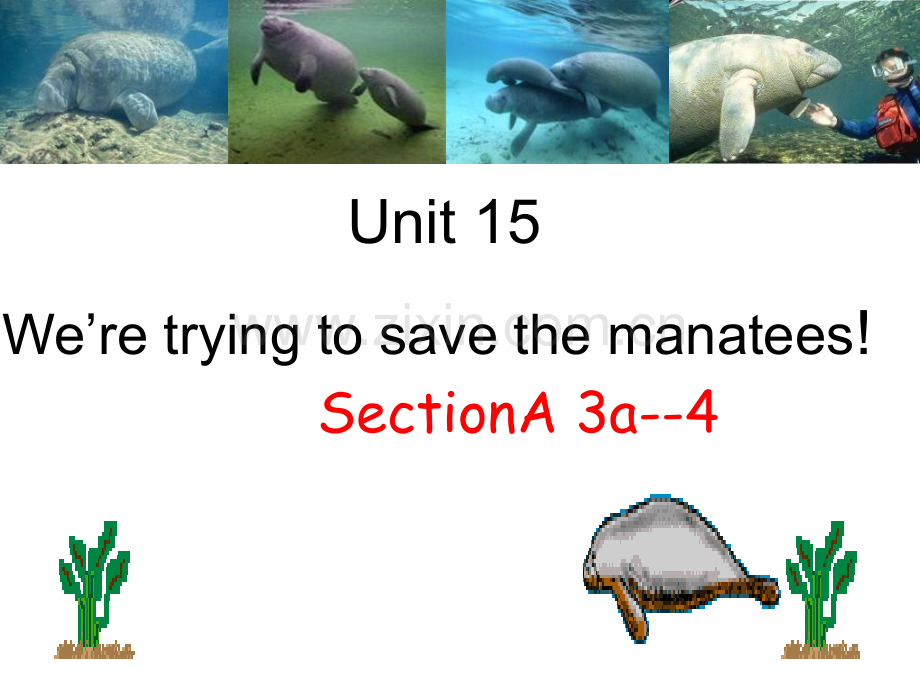 初中英语九年级-Unit-15《-We're-trying-to-save-the-manateese!》.ppt_第1页
