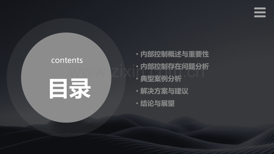 内部控制问题分析报告论文.pptx_第2页