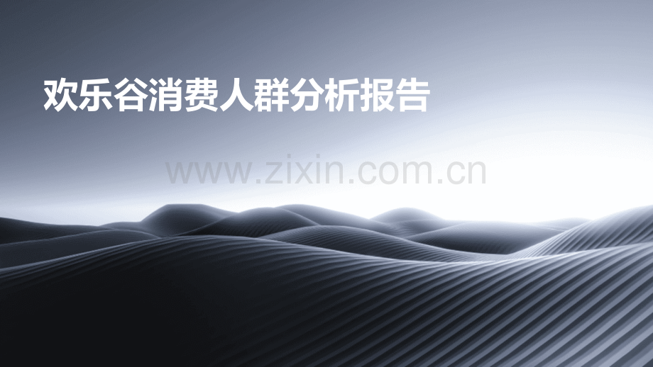 欢乐谷消费人群分析报告.pptx_第1页