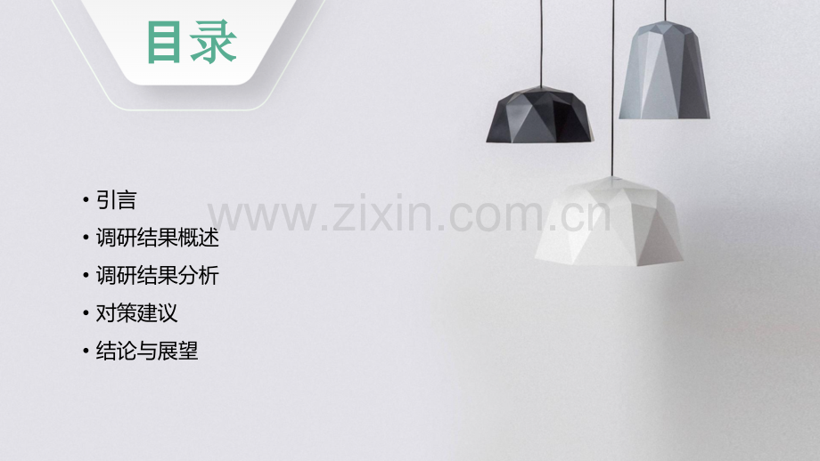 公司主题教育调研报告.pptx_第2页