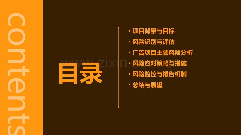 广告项目风险分析报告.pptx_第2页