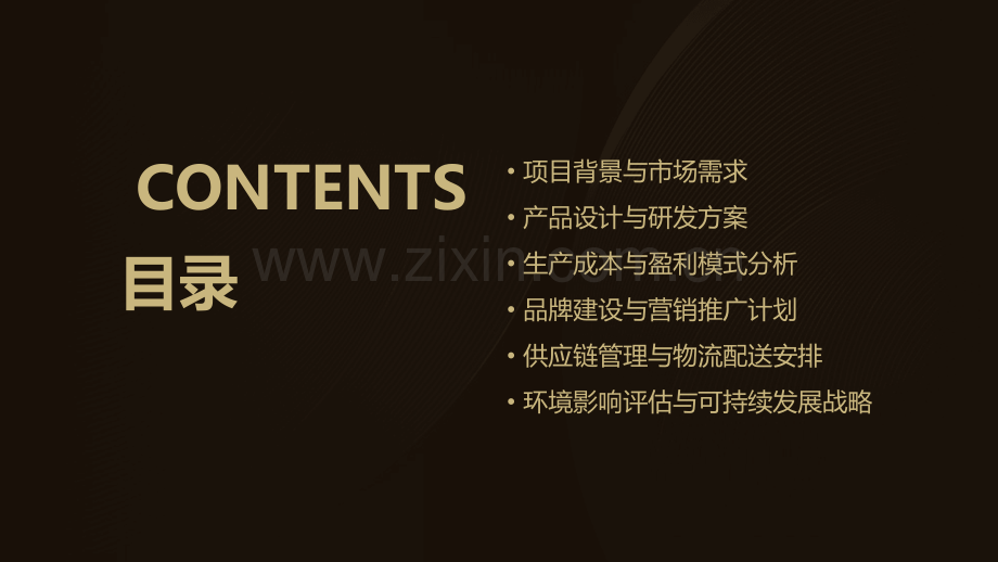 服装可行性报告.pptx_第2页
