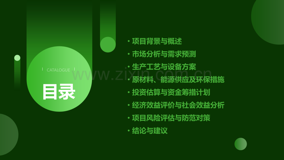 工业办厂可行性报告.pptx_第2页