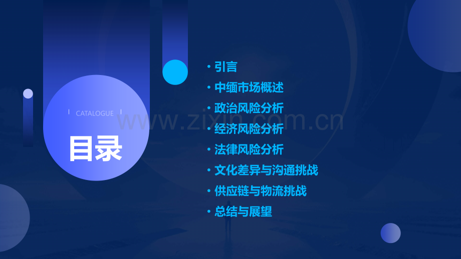 中缅市场风险分析报告.pptx_第2页