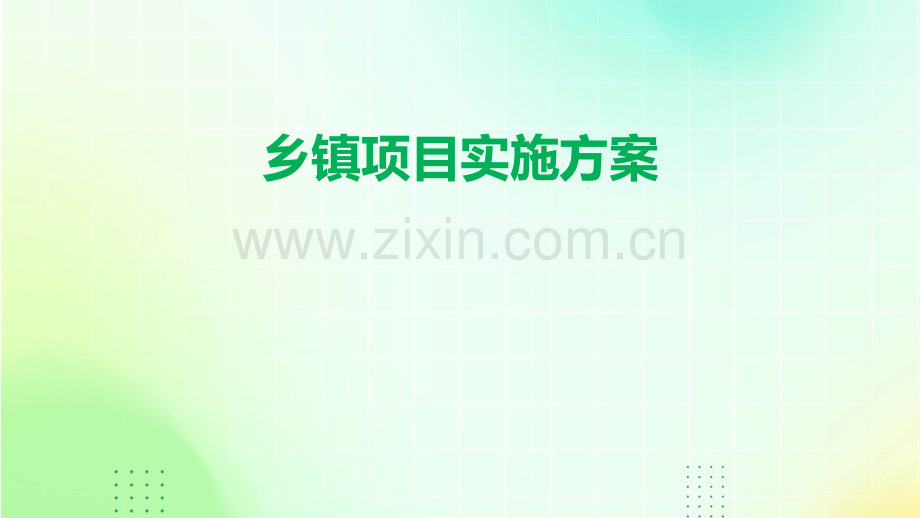 乡镇项目实施方案.pptx_第1页