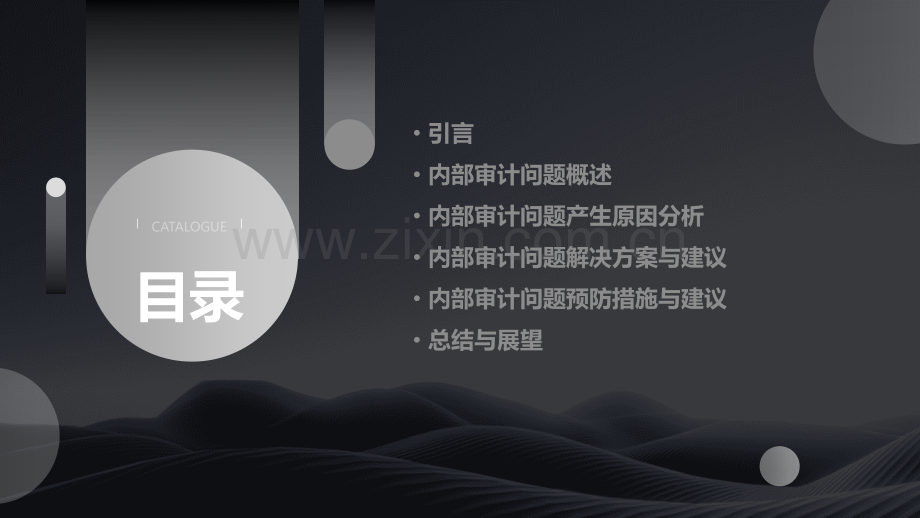 内部审计问题专题分析报告.pptx_第2页