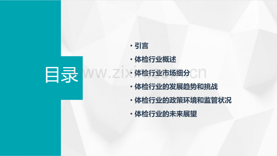 体检行业报告.pptx_第2页