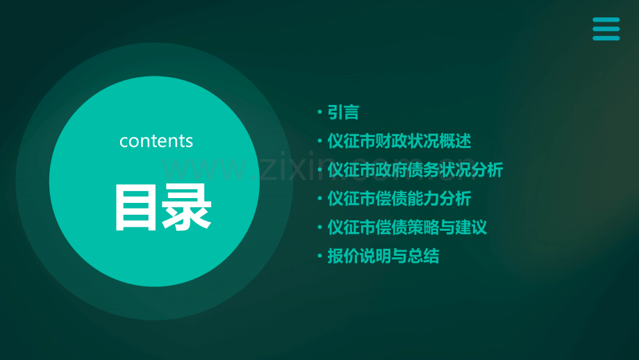 仪征偿债能力分析报告报价.pptx_第2页