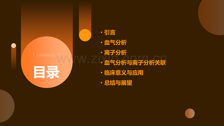 血气分析加离子分析报告.pptx_第2页