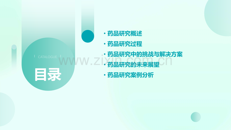 药品研究报告.pptx_第2页