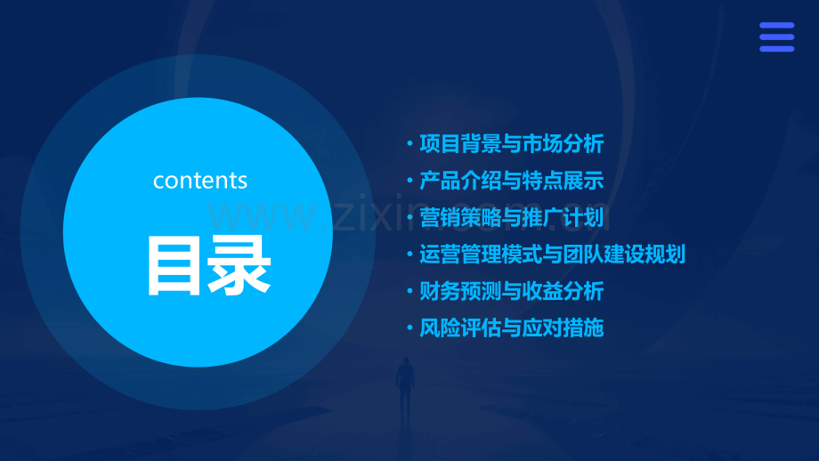 征信产品销售商业计划书.pptx_第2页