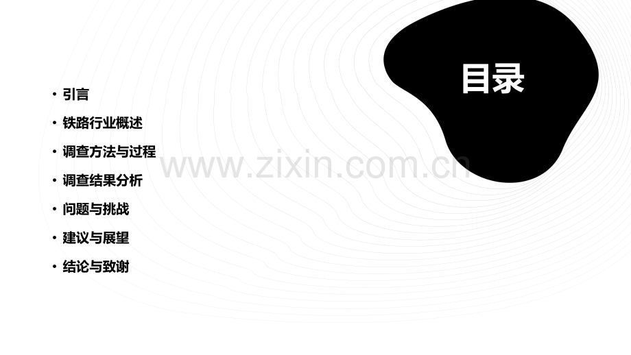 铁路调查报告.pptx_第2页