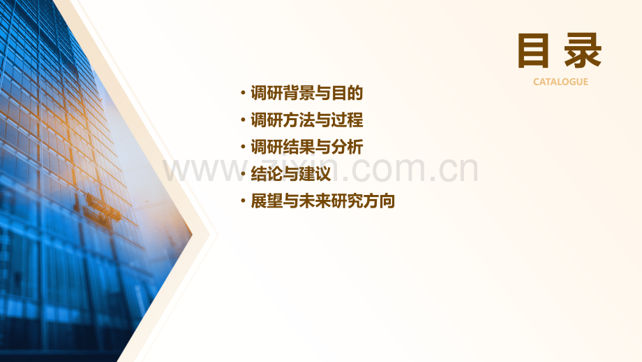 深蓄调研报告.pptx_第2页