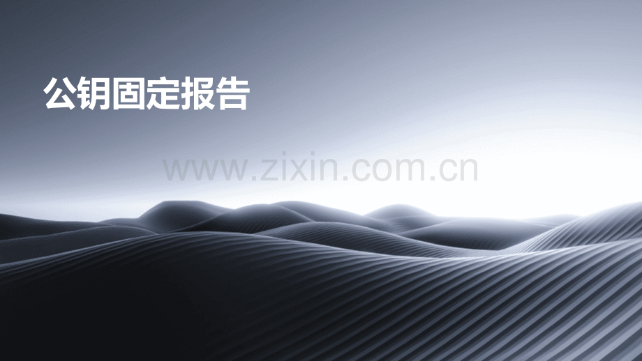 公钥固定报告.pptx_第1页