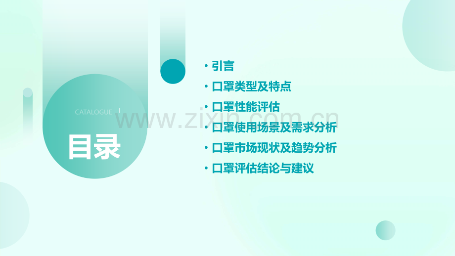 口罩评估报告.pptx_第2页