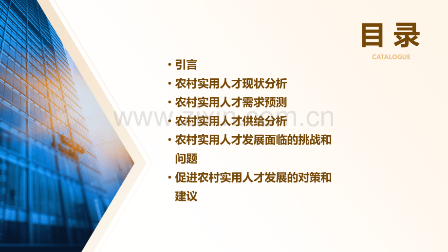 农村实用人才分析报告.pptx_第2页