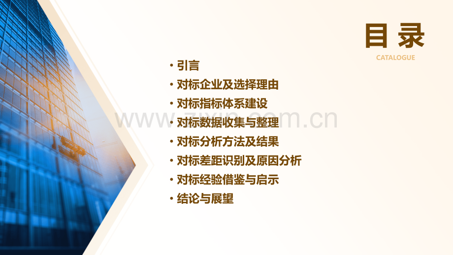 对标分析报告.pptx_第2页