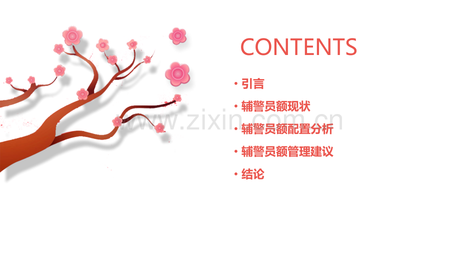 辅警员额报告.pptx_第2页