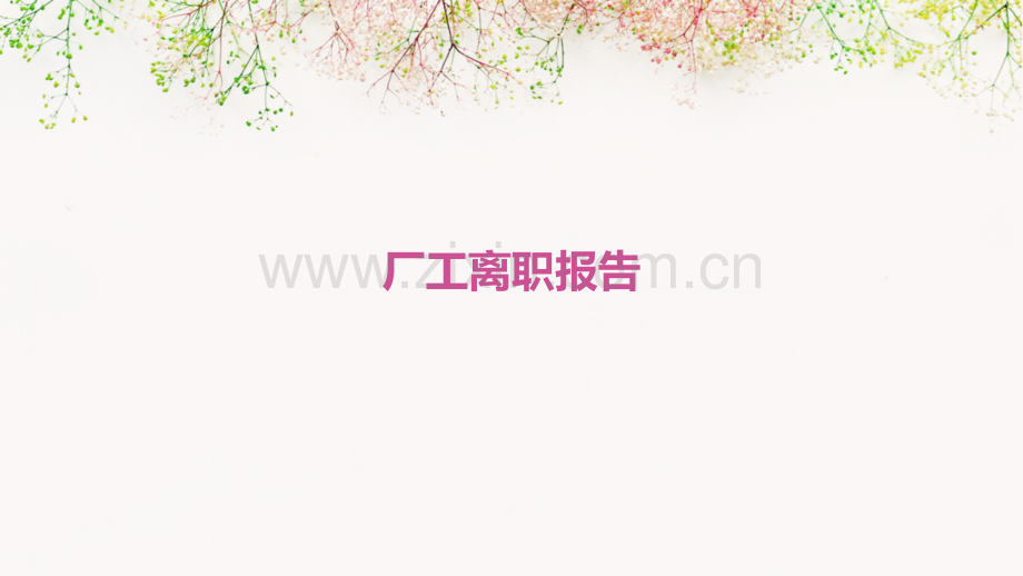 厂工离职报告.pptx_第1页
