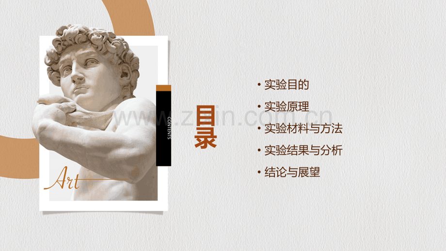 药理学的实验报告.pptx_第2页
