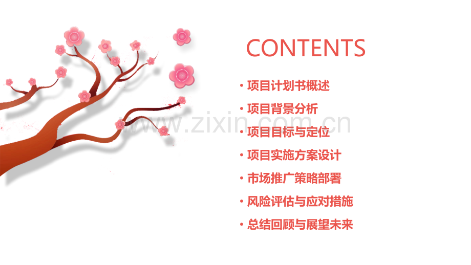 如何写一份项目计划书模板.pptx_第2页