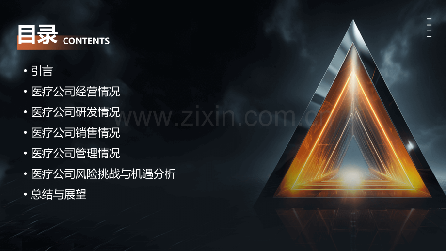 医疗公司工作总结.pptx_第2页