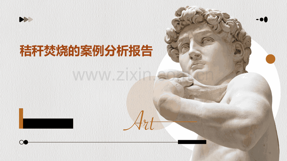 秸秆焚烧的案例分析报告.pptx_第1页