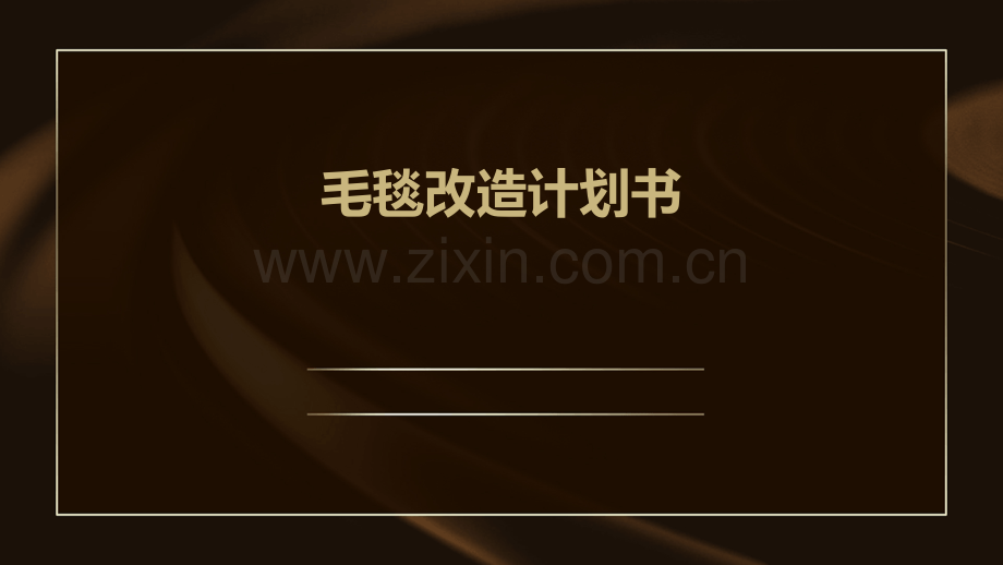 毛毯改造计划书.pptx_第1页