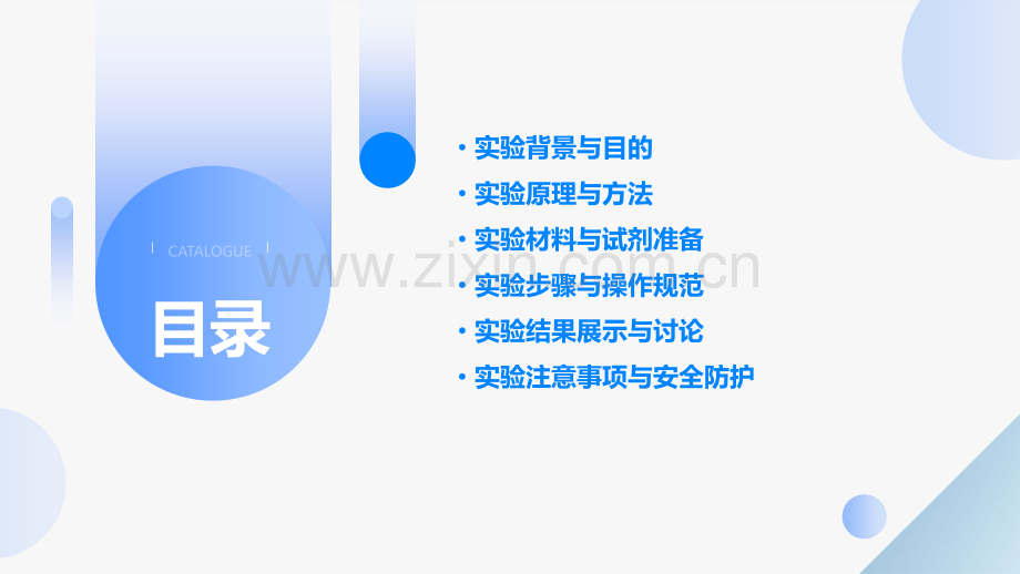 荧光素酶报告基因实验.pptx_第2页