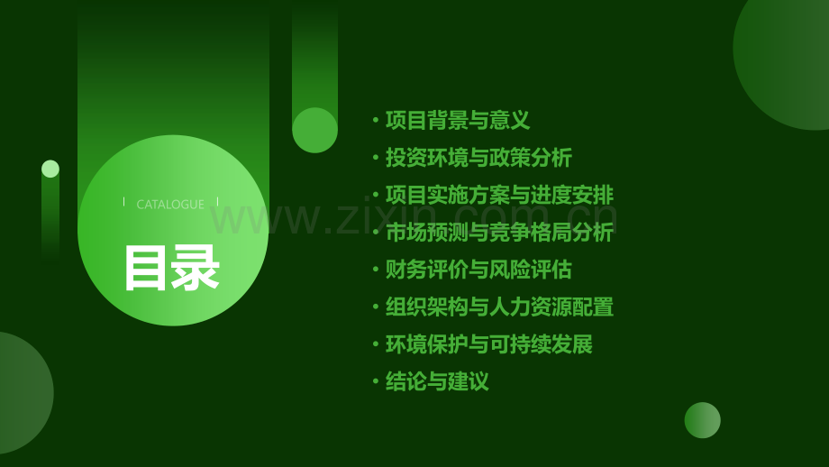 境外投资可行性研究报告.pptx_第2页