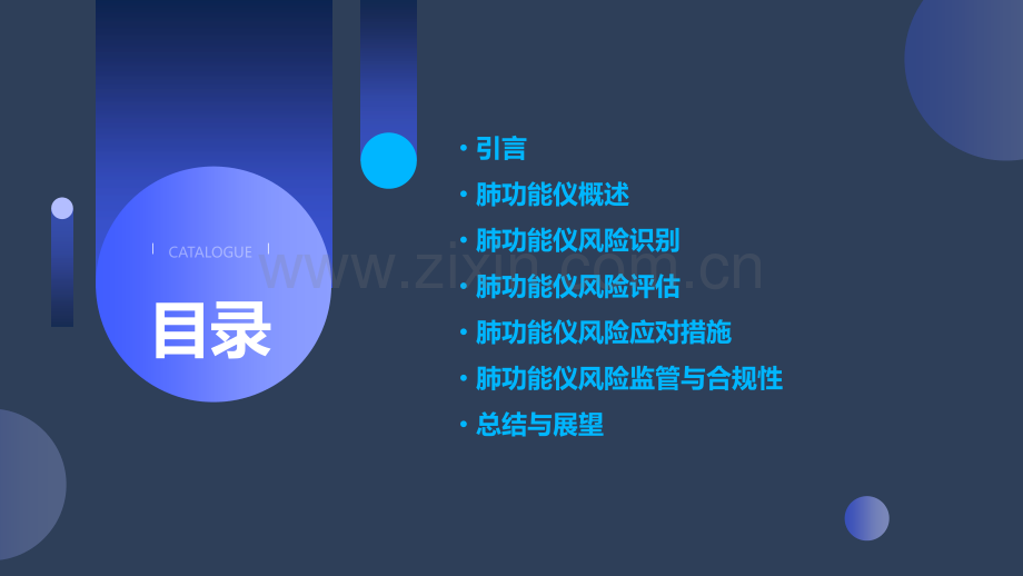 肺功能仪风险分析报告.pptx_第2页