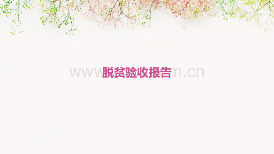 脱贫验收报告.pptx_第1页