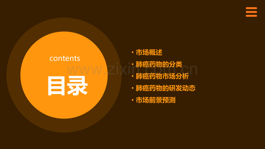 肺癌药物的市场分析报告.pptx_第2页