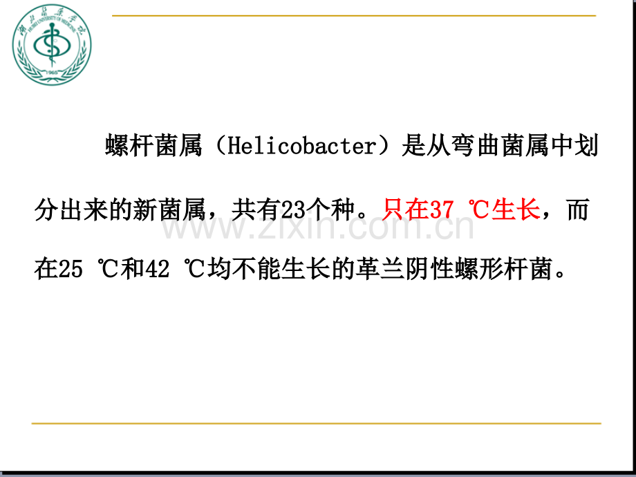第十二章幽门螺杆菌.ppt_第2页