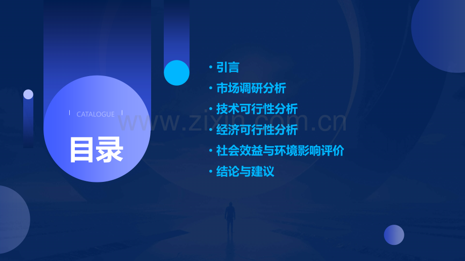 可行性调研商务报告.pptx_第2页