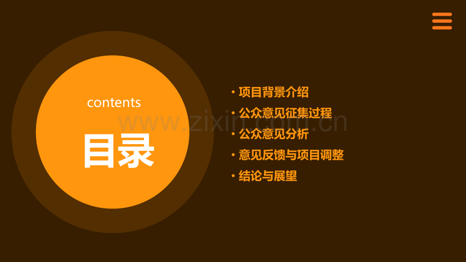 项目征求公众意见情况报告.pptx_第2页